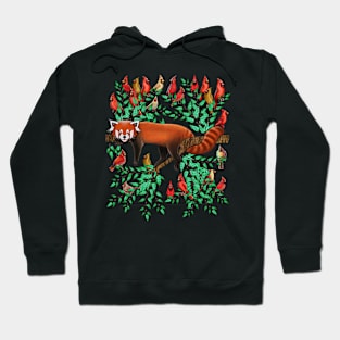 Red panda red cardinal bird Hoodie